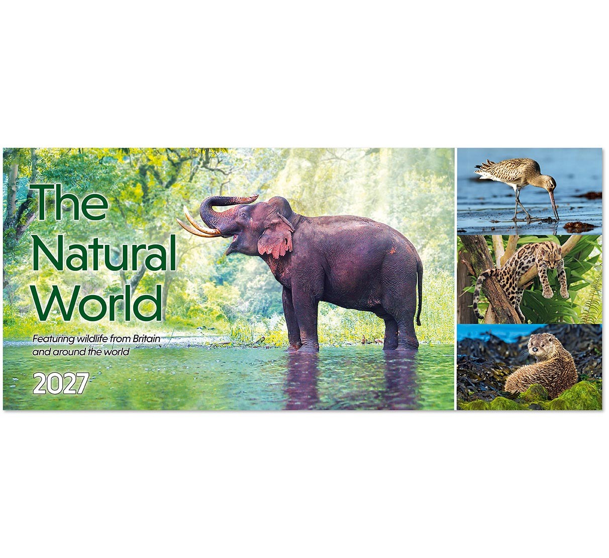 The Natural World Desk Calendar