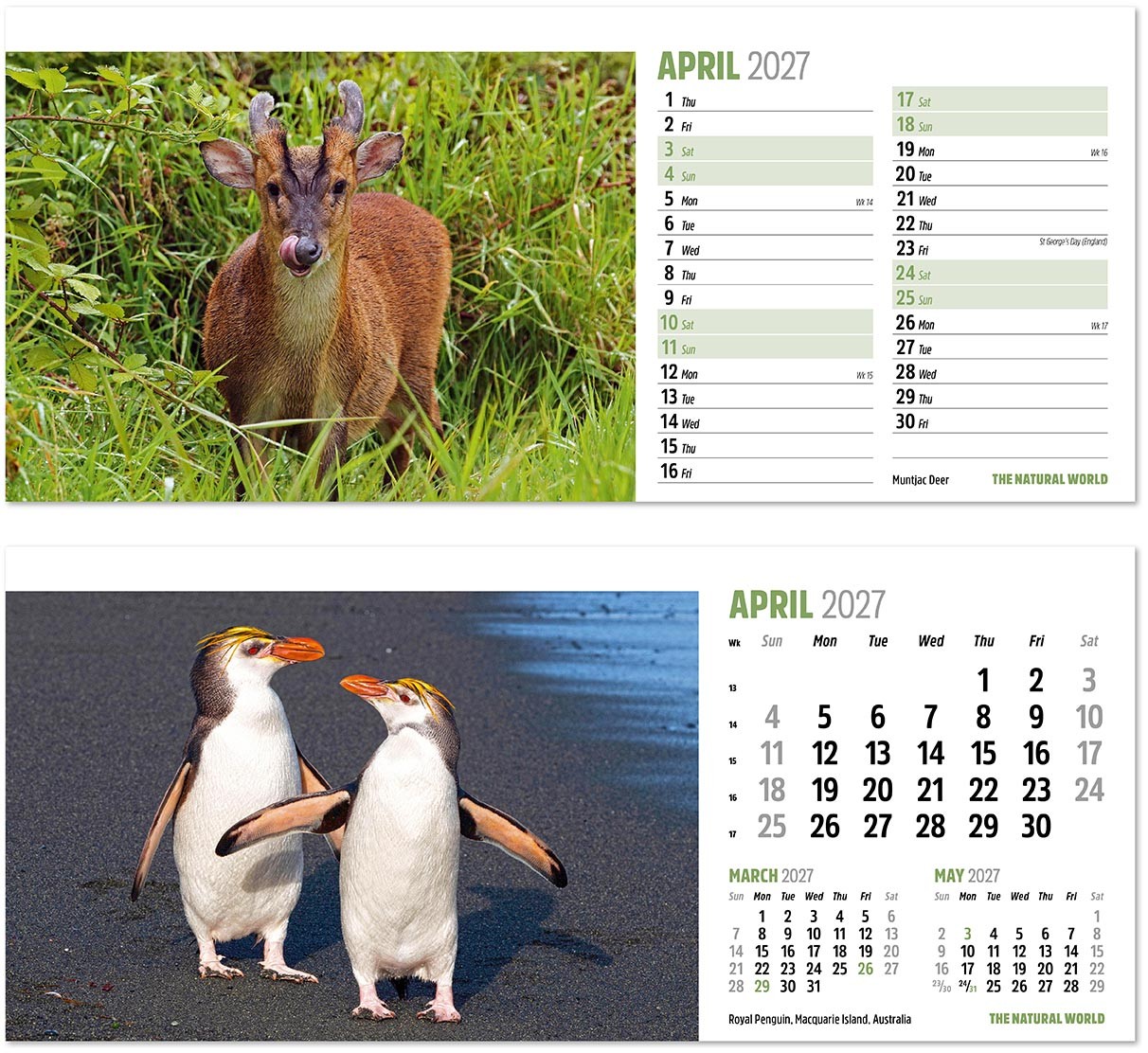 The Natural World Desk Calendar