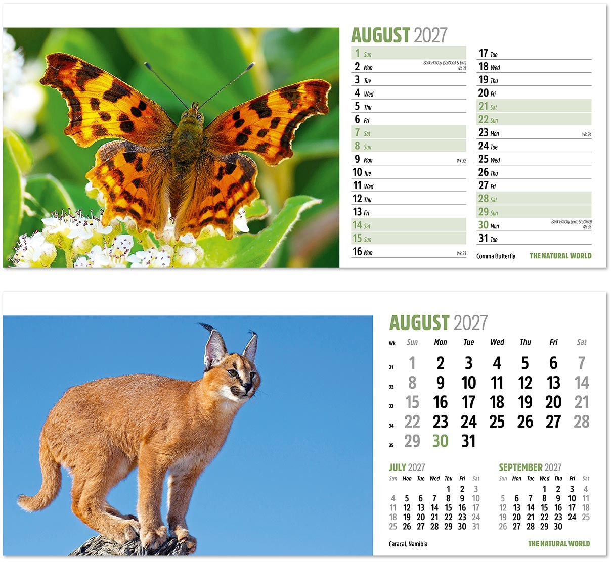 The Natural World Desk Calendar