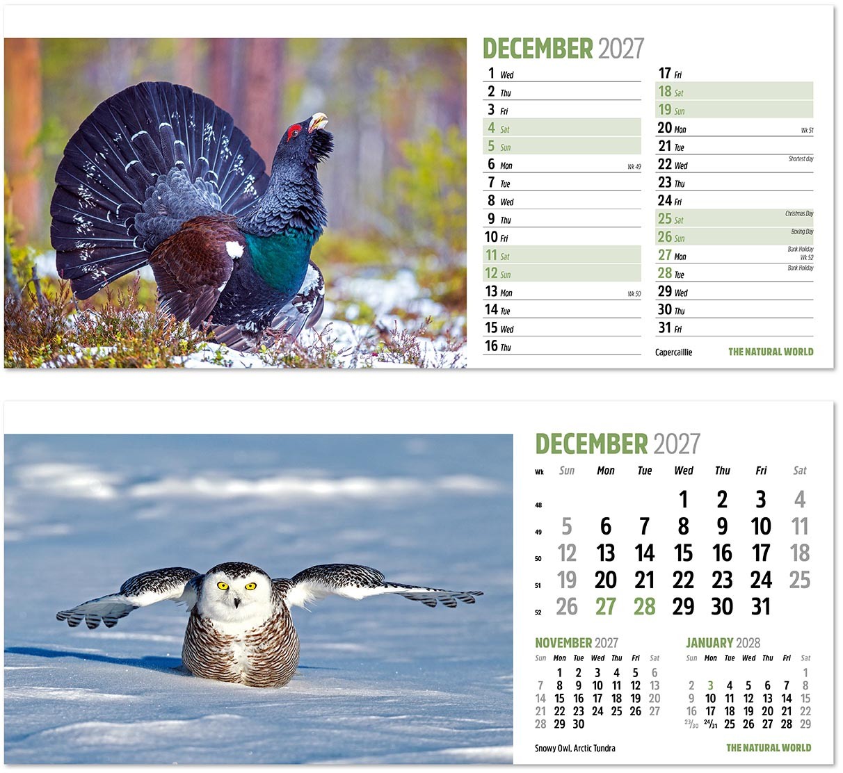 The Natural World Desk Calendar