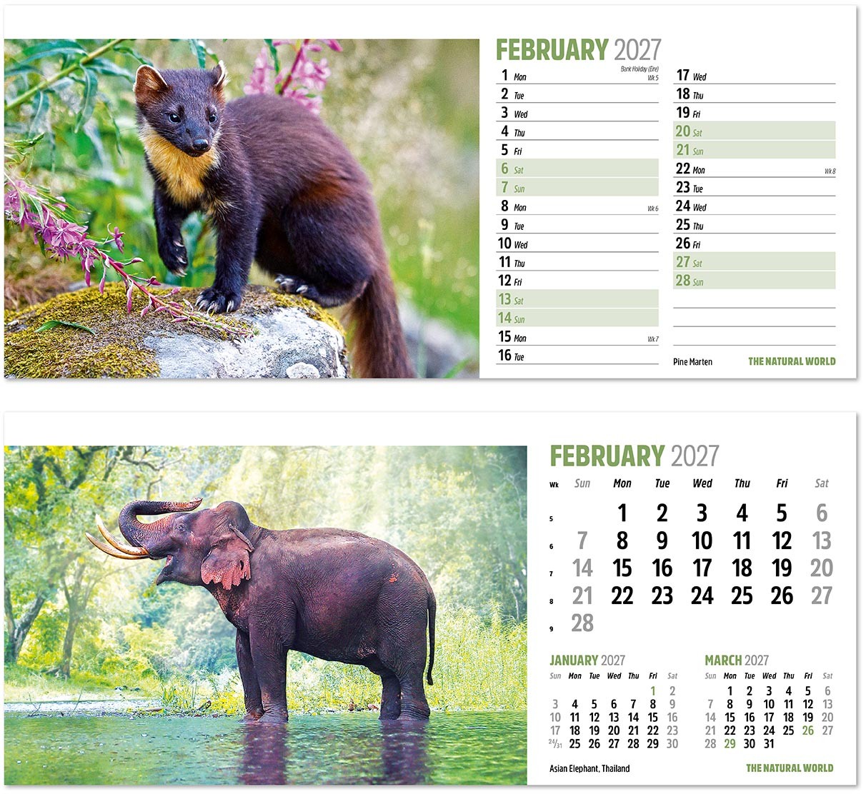 The Natural World Desk Calendar