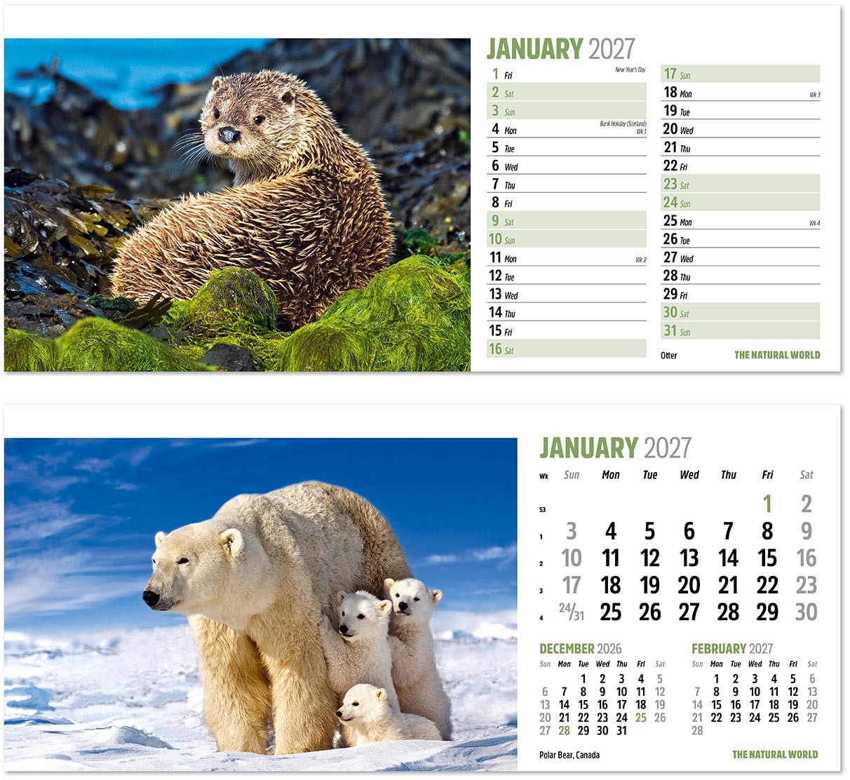 The Natural World Desk Calendar