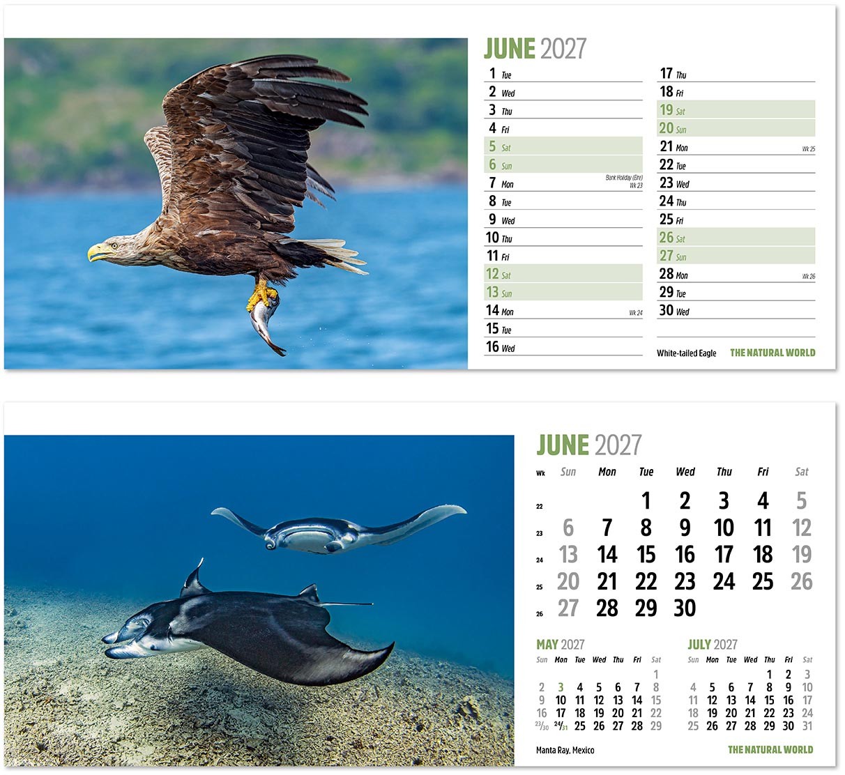 The Natural World Desk Calendar