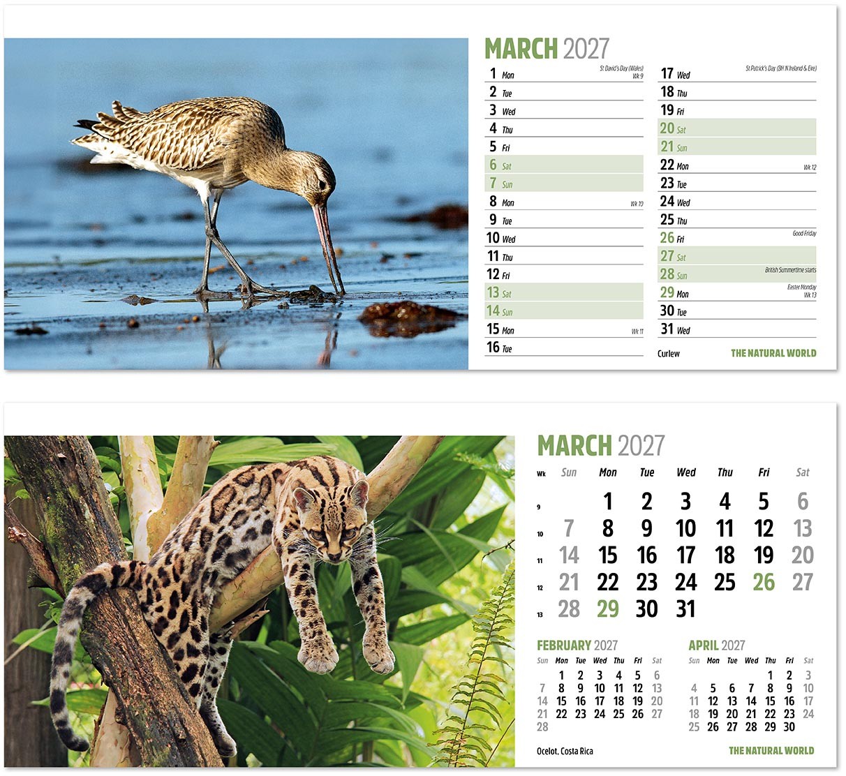The Natural World Desk Calendar