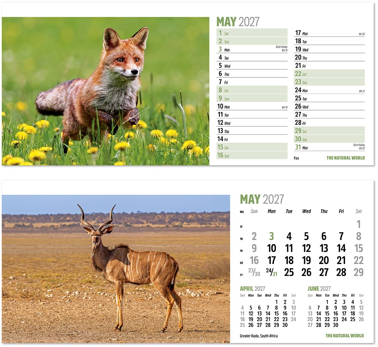 The Natural World Desk Calendar