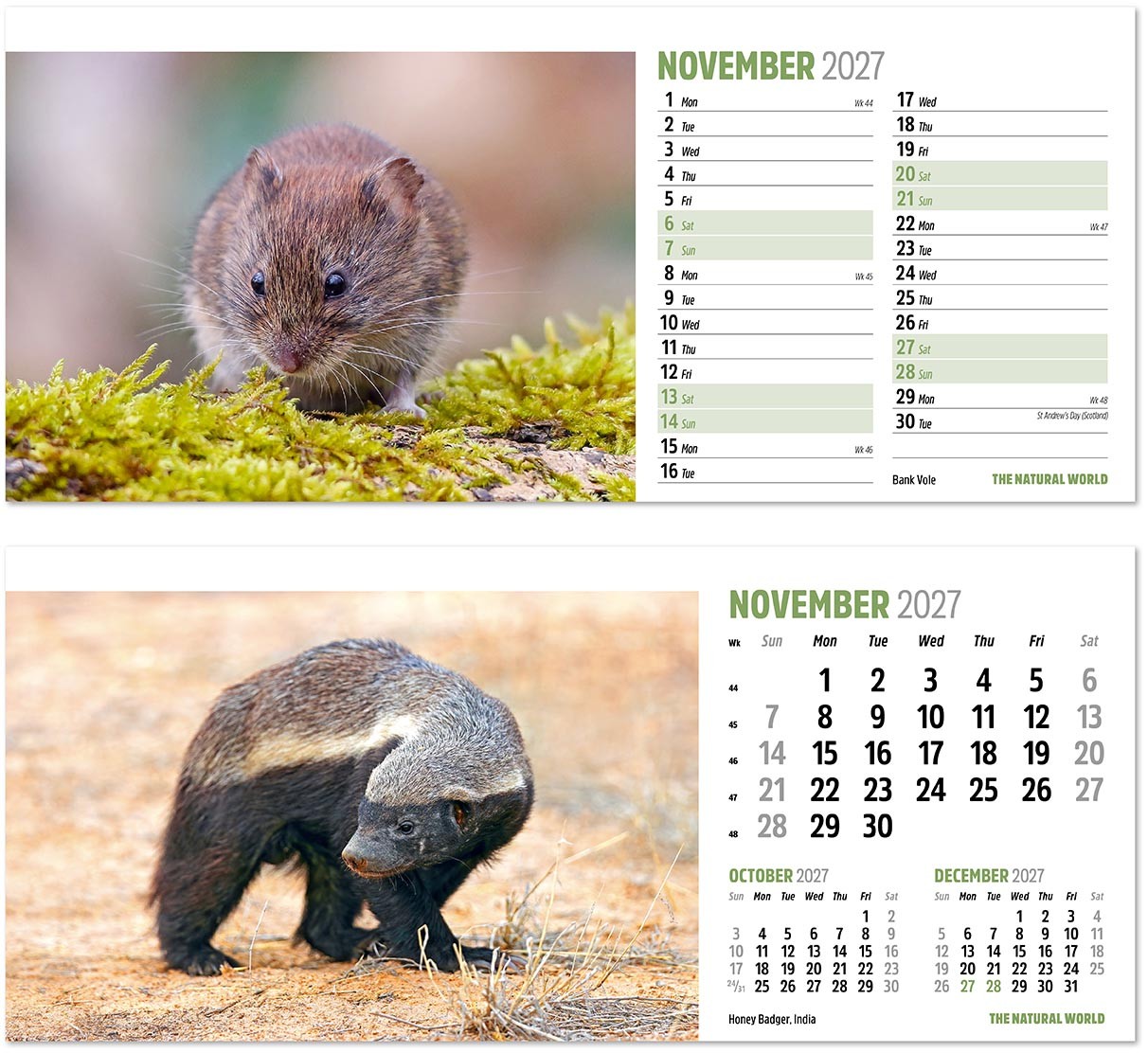 The Natural World Desk Calendar
