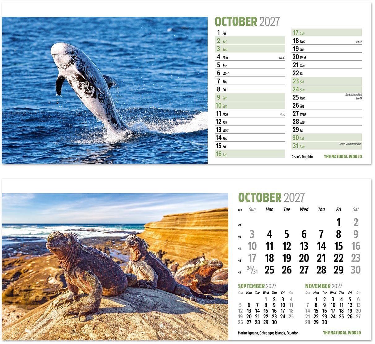 The Natural World Desk Calendar