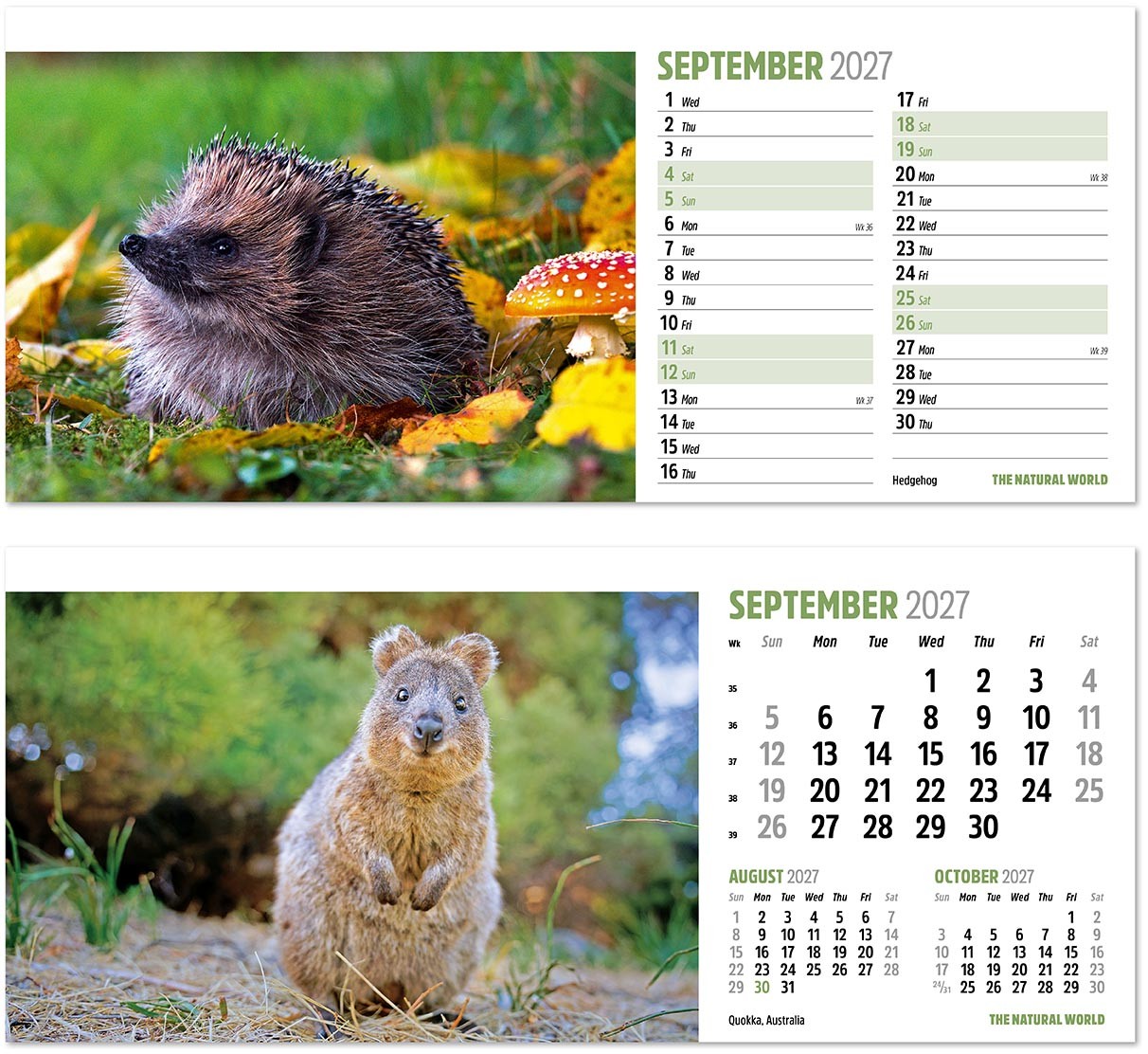 The Natural World Desk Calendar