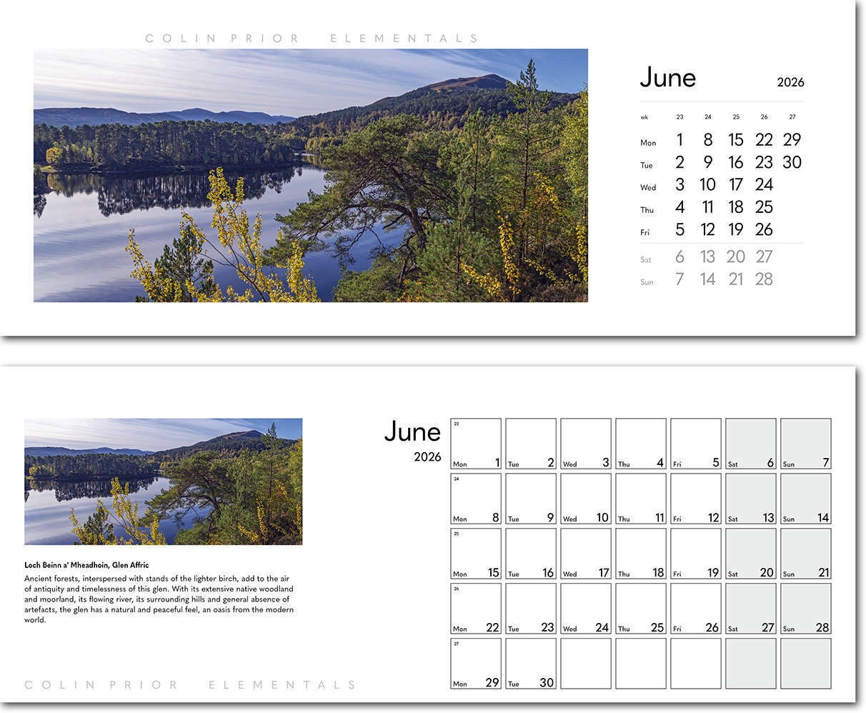 Colin Prior Elementals Desk Calendar