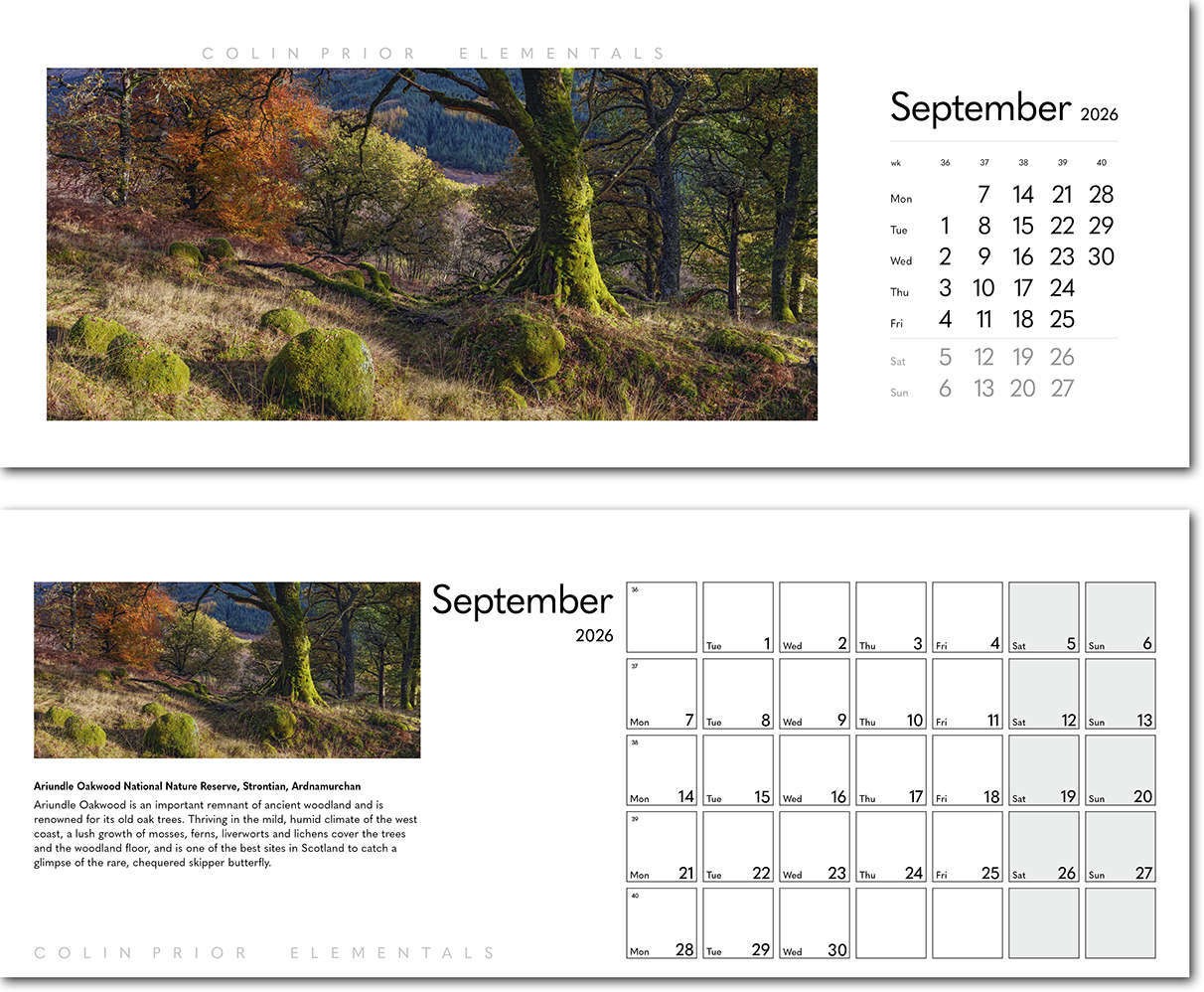 Colin Prior Elementals Desk Calendar
