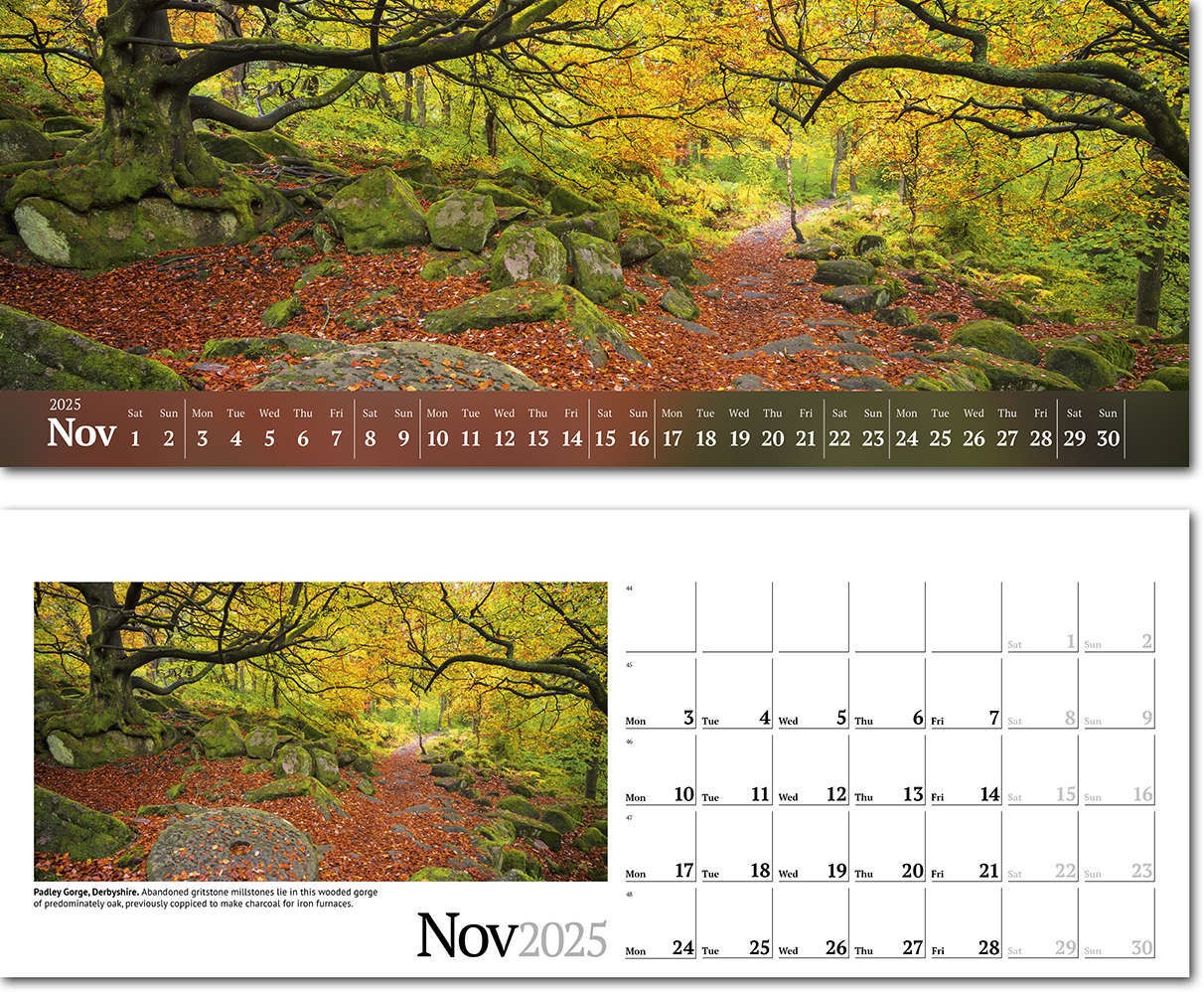Wild Britain Desk Calendar