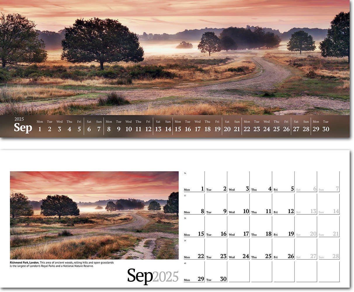 Wild Britain Desk Calendar