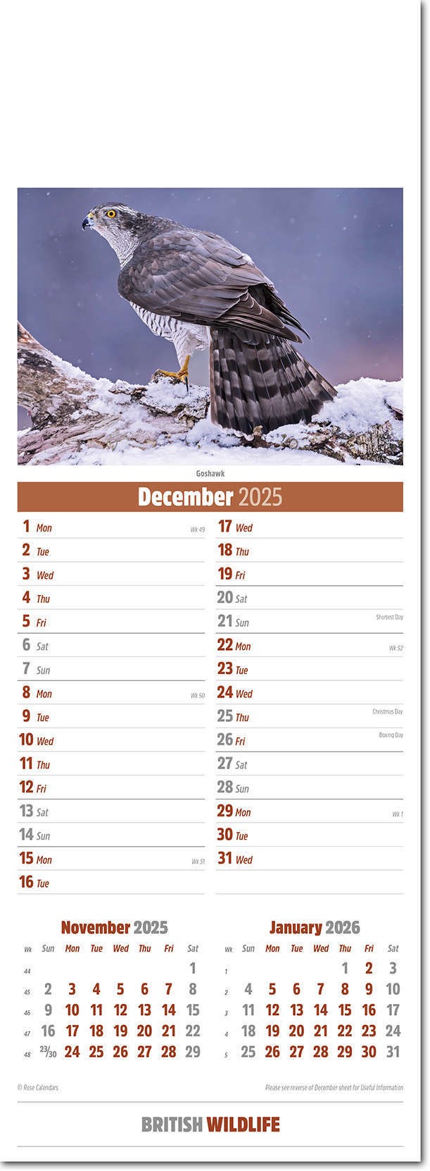 Slimline British Wildlife Calendar